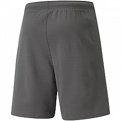 Trenky Puma teamRise Short M 704942 13