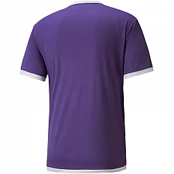 Tričko Puma teamLIGA Jersey M 704917 10