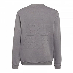 adidas Entrada 22 Sweat Top Jr H57477