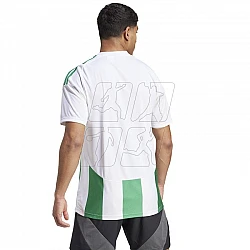 Tričko adidas Striped 24 JSY M IW2148