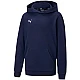 Puma teamGOAL 23 Casuals Hoody Jr 656711 06