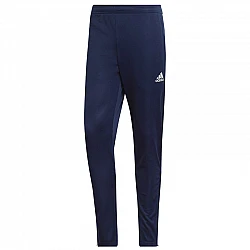 Tepláky adidas Entrada 22 Training Panty M HC0333