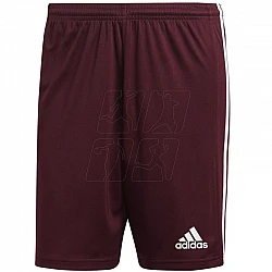 Trenky adidas Squadra 21 Short M GN8083