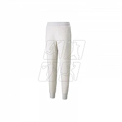 Tepláky Puma Essential Logo Pants W 586841-02