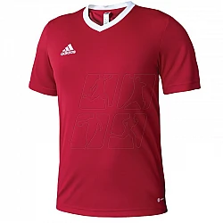 Tričko adidas Entrada 22 M H61736