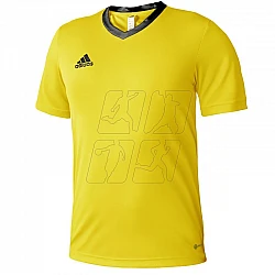 Tričko adidas Entrada 22 Jersey M HI2122