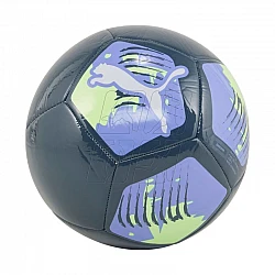Futbalová lopta Puma Big Cat 84214 14