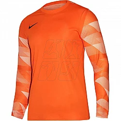 Tričko Nike Dry Park IV JSY LS GK Jr CJ6072-819