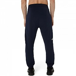 Tepláky Asics Logo Sweatpant M 2031E189407