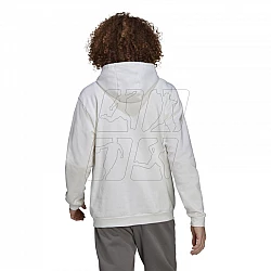 adidas Entrada 22 M HG6302