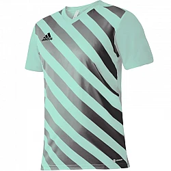 Tričko adidas Entrada 22 Graphic Jersey Jr HF0127