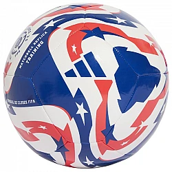 Lopta adidas FCWC Training JD3826