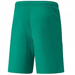 Trenky Puma teamLiga M 704924 05