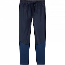 Tepláky Puma Team Goal Training M 658639 06