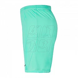 Trenky Nike Park III Knit Jr BV6865-354