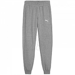 Tepláky Puma Team Goal Jr 658601 33