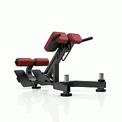 Hyperextenzia Marbo Sport MP-L212