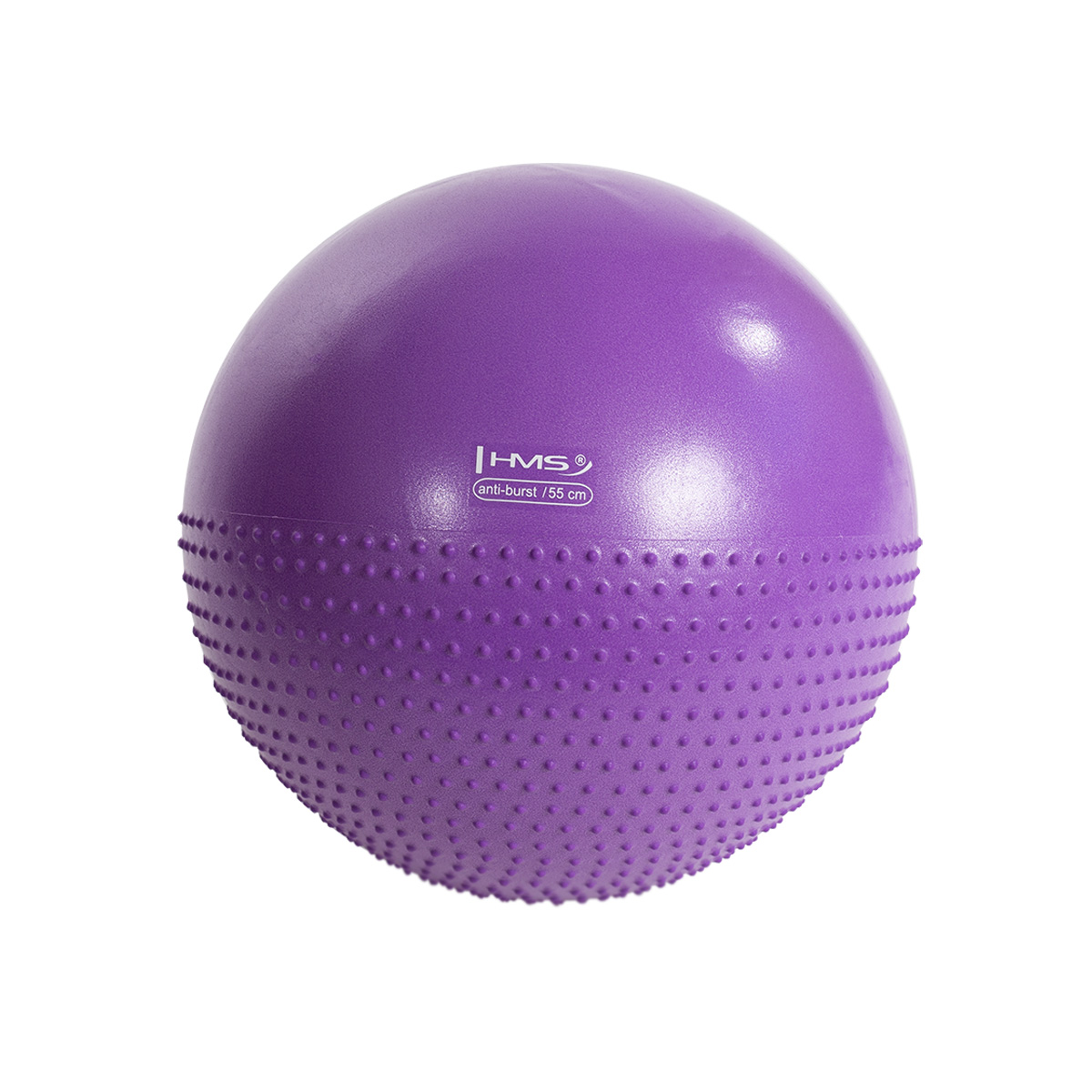 Masážní gymnastický míč HMS YB03N 55 cm fialový