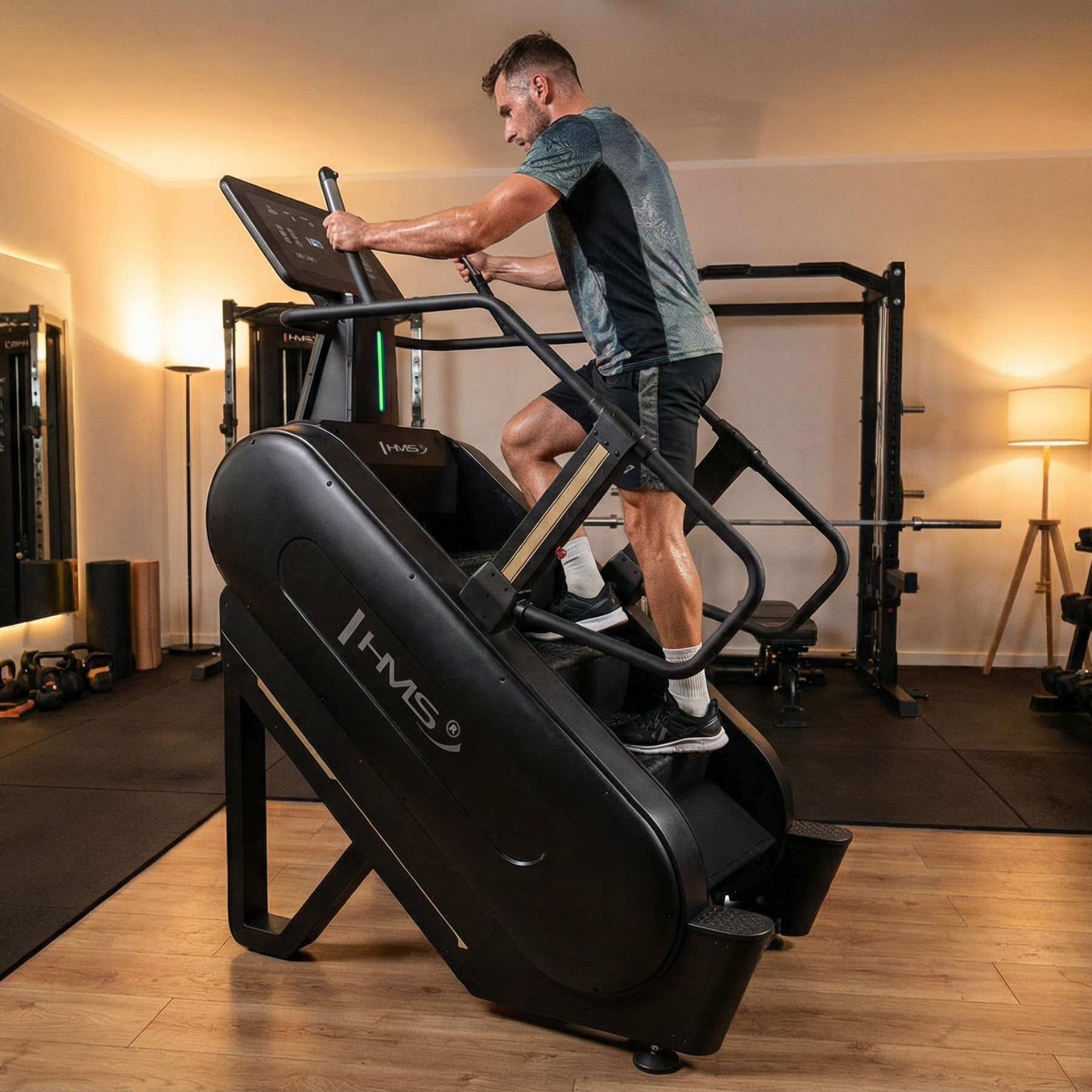 Fitness schody HMS ST03