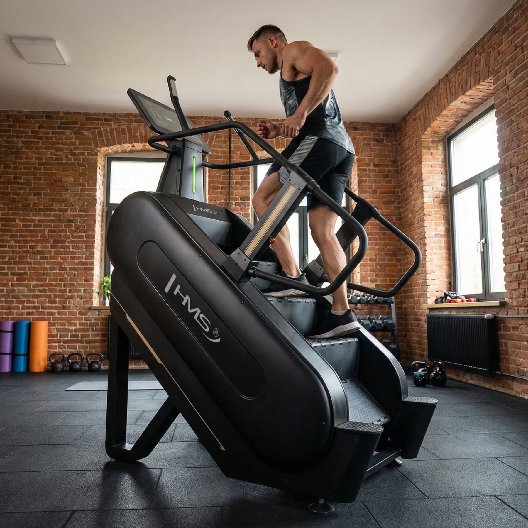 Fitness schody HMS ST03