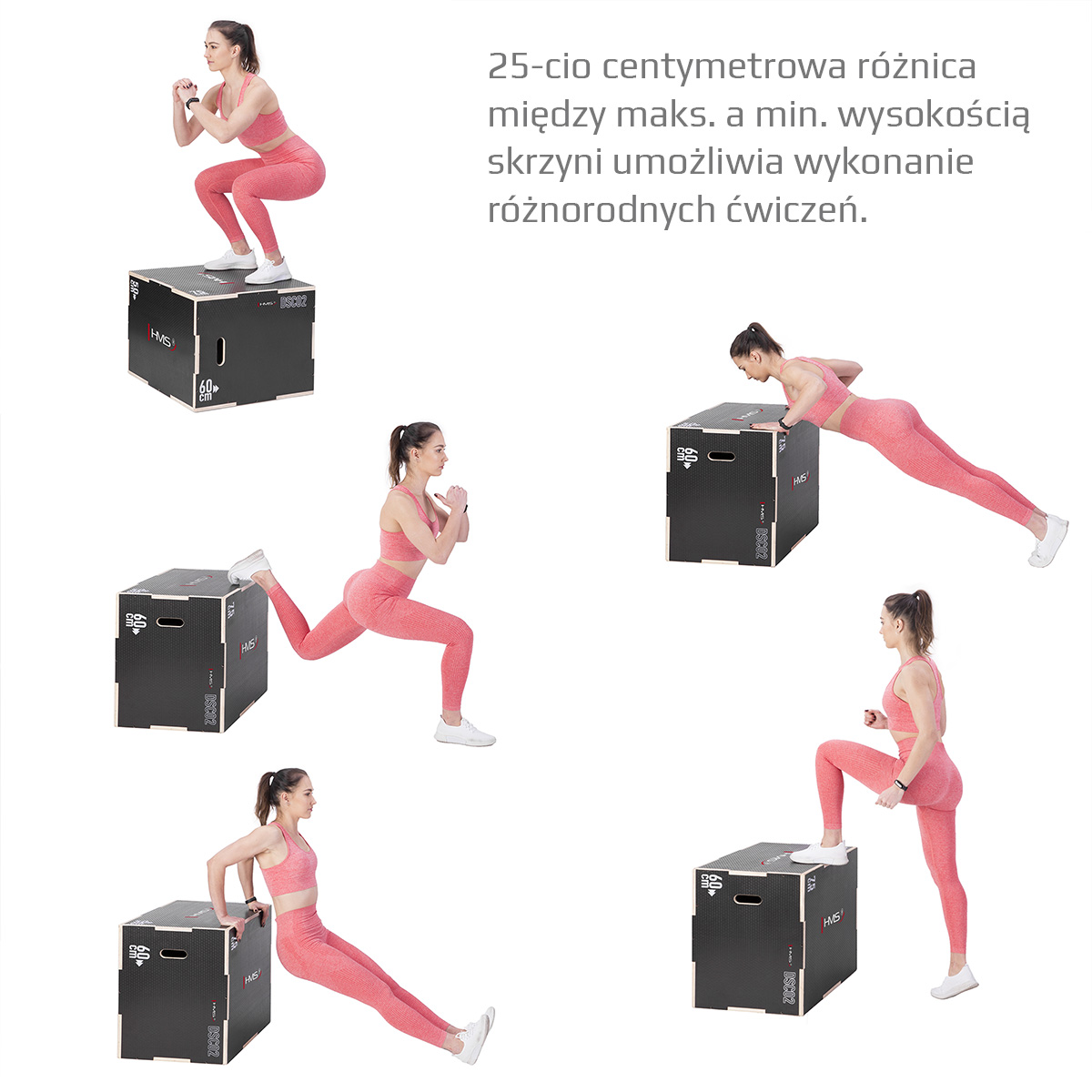 Plyo Box HMS DSC02