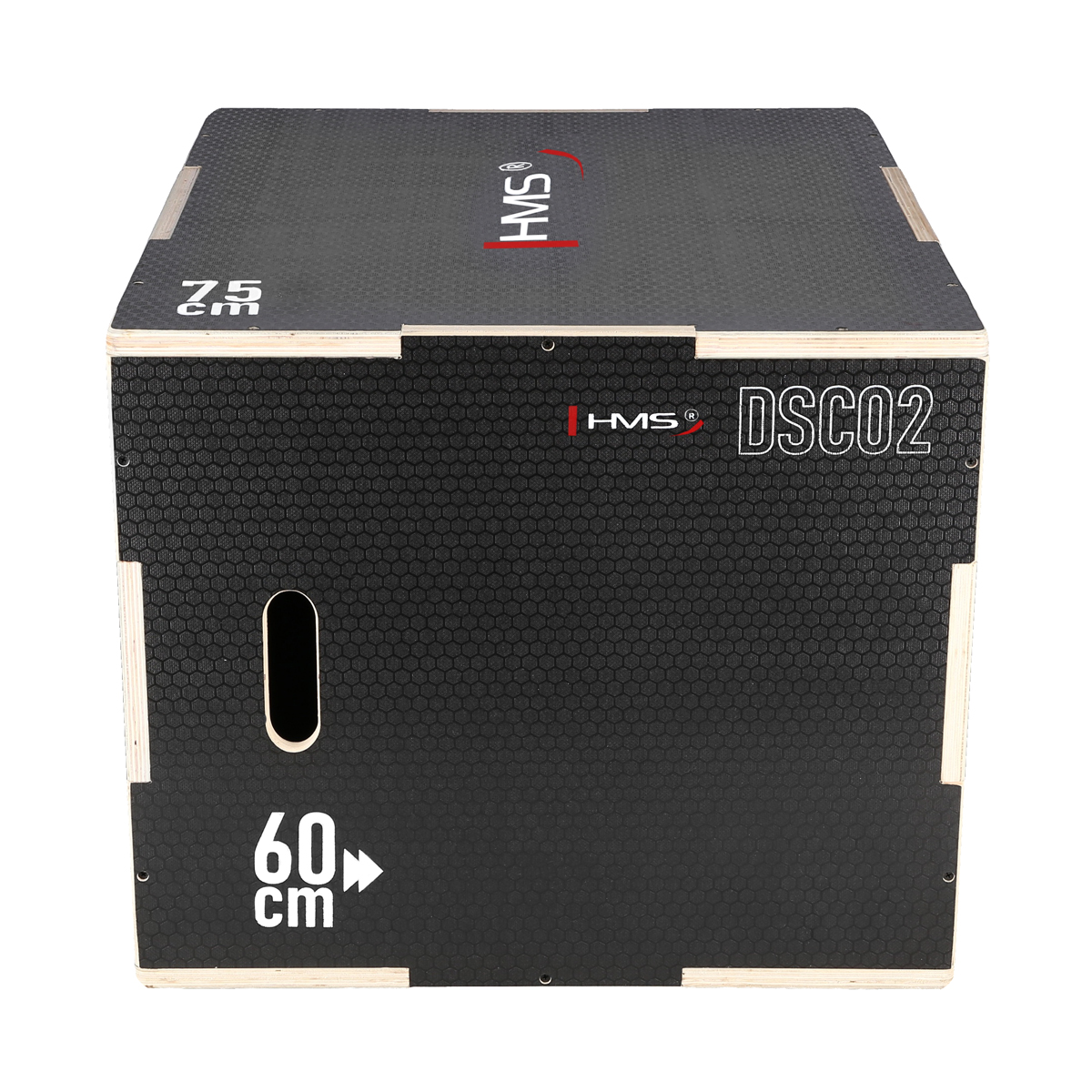 Plyo Box HMS DSC02