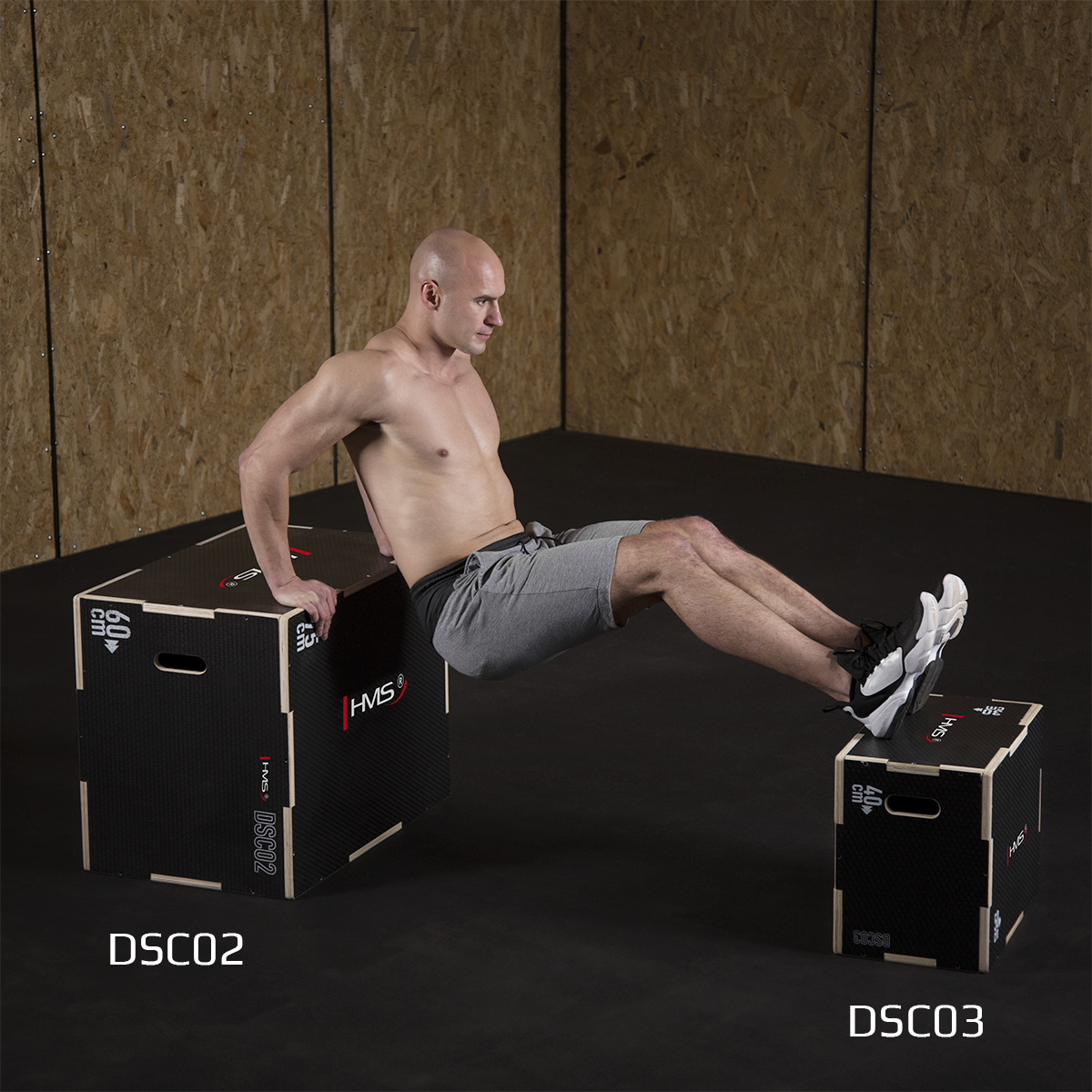 Plyo Box HMS DSC03