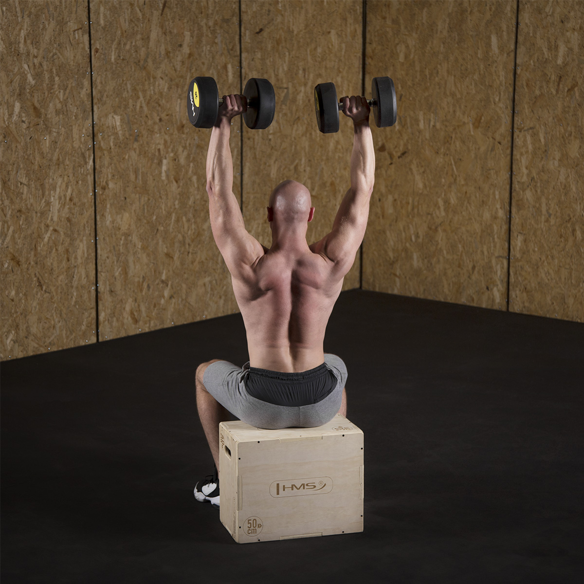 Plyo Box HMS DSC04