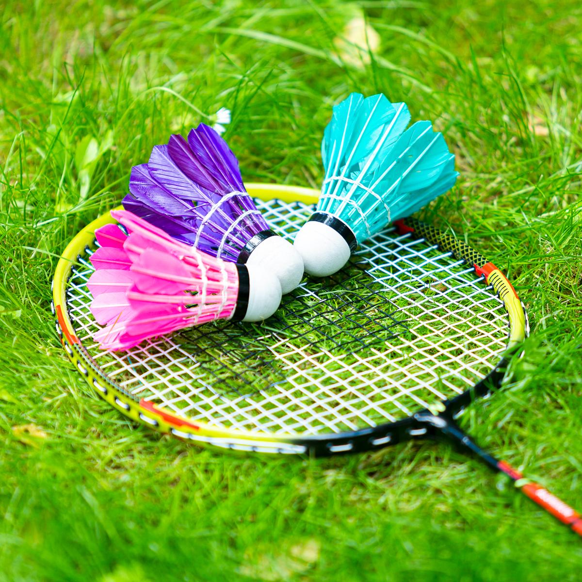 Badmintonový set NILS NRZ204