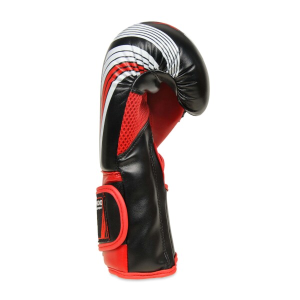 Boxerské rukavice DBX BUSHIDO ARB407v2 6 oz.