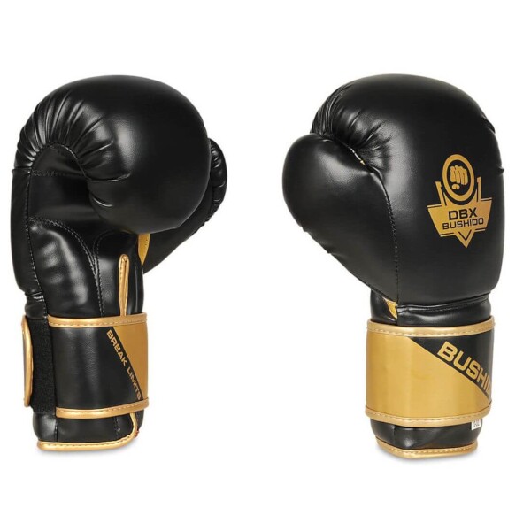 Boxerské rukavice DBX BUSHIDO B-2v10