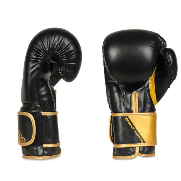 Boxerské rukavice DBX BUSHIDO B-2v10