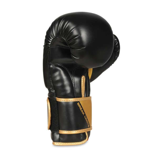 Boxerské rukavice DBX BUSHIDO B-2v10