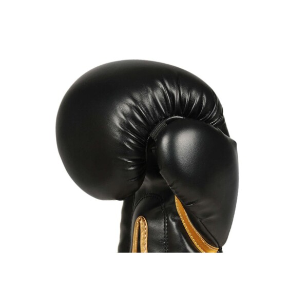 Boxerské rukavice DBX BUSHIDO B-2v10