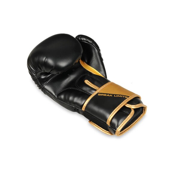 Boxerské rukavice DBX BUSHIDO B-2v10
