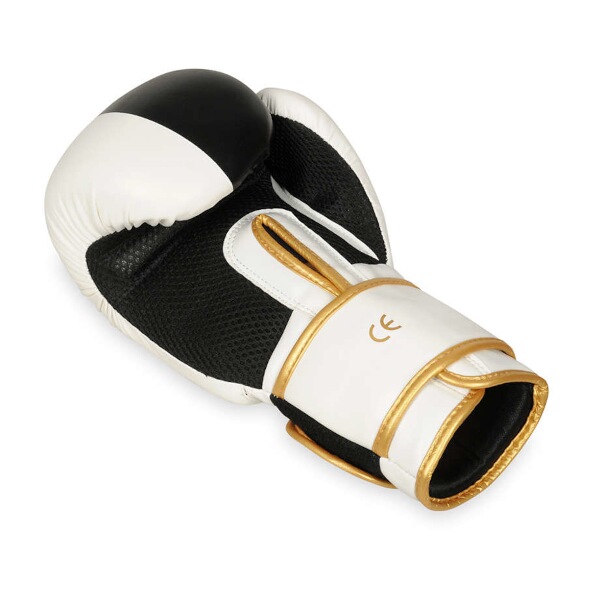 Boxerské rukavice DBX BUSHIDO B-2v16