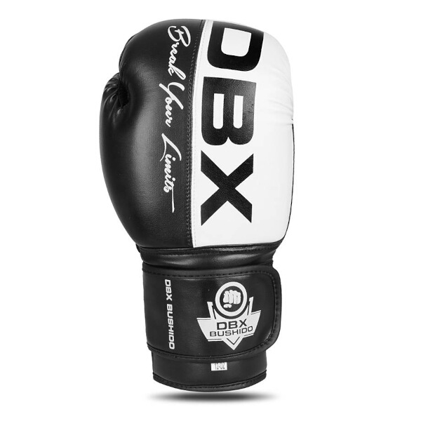 Boxerské rukavice DBX BUSHIDO B-2v20