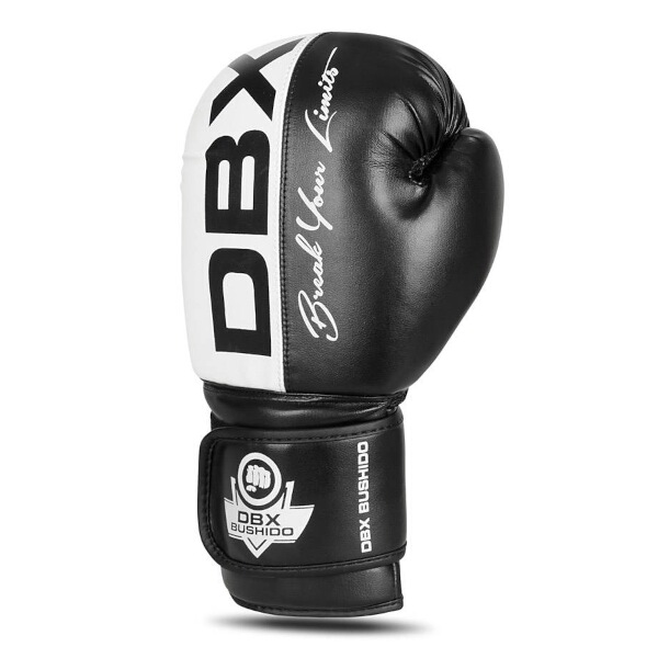 Boxerské rukavice DBX BUSHIDO B-2v20