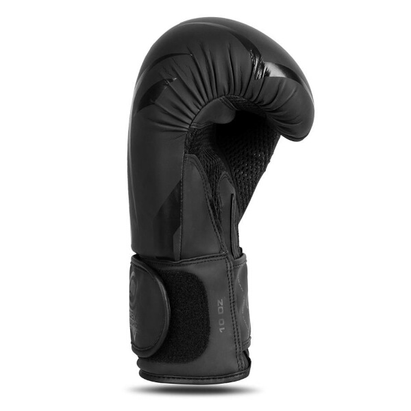 Boxerské rukavice DBX BUSHIDO B-2v22