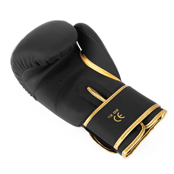 Boxerské rukavice DBX BUSHIDO Gold Dragon