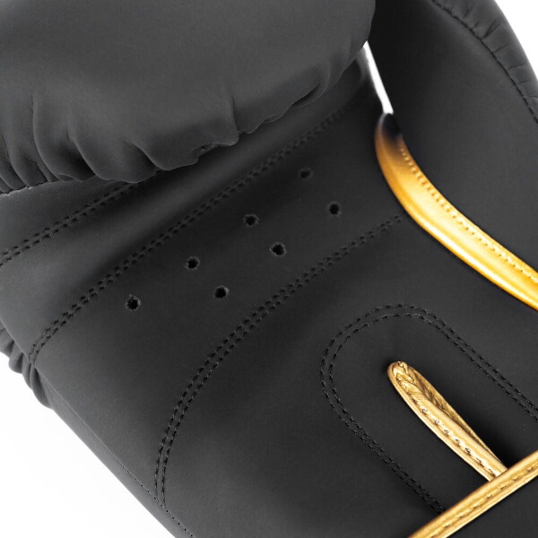 Boxerské rukavice DBX BUSHIDO Gold Dragon