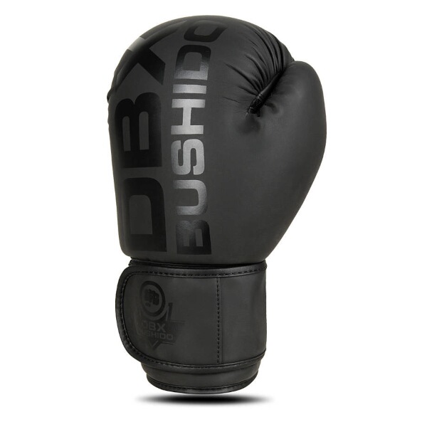 Boxerské rukavice DBX BUSHIDO B-2v21