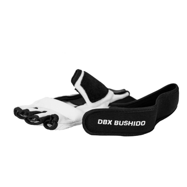 Rukavice na taekwondo DBX BUSHIDO DBX-T-1