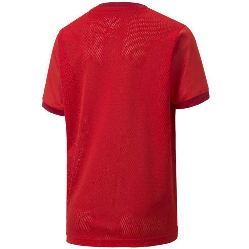 Tričko Puma teamGOAL 23 Jersey Jr 704160 01