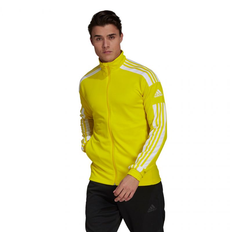 adidas Squadra 21 Training M GP6465