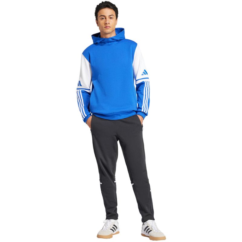 adidas Squadra 25 Sweat M JD2974