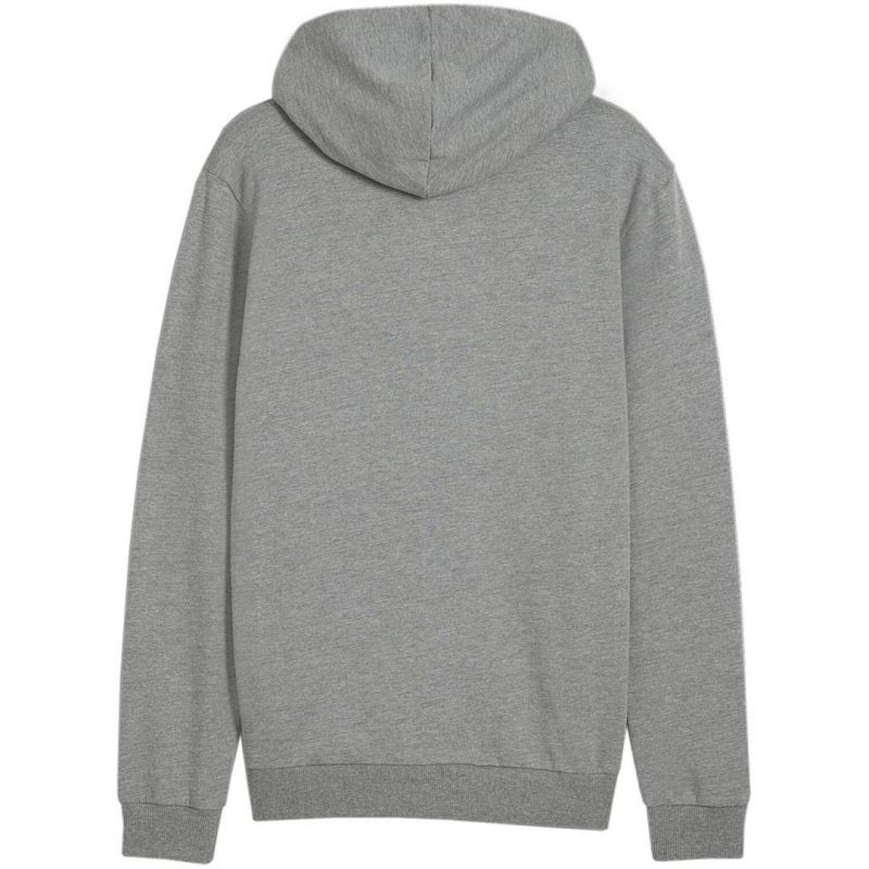 Puma Team Goal Casuals Hooded M 658595 33
