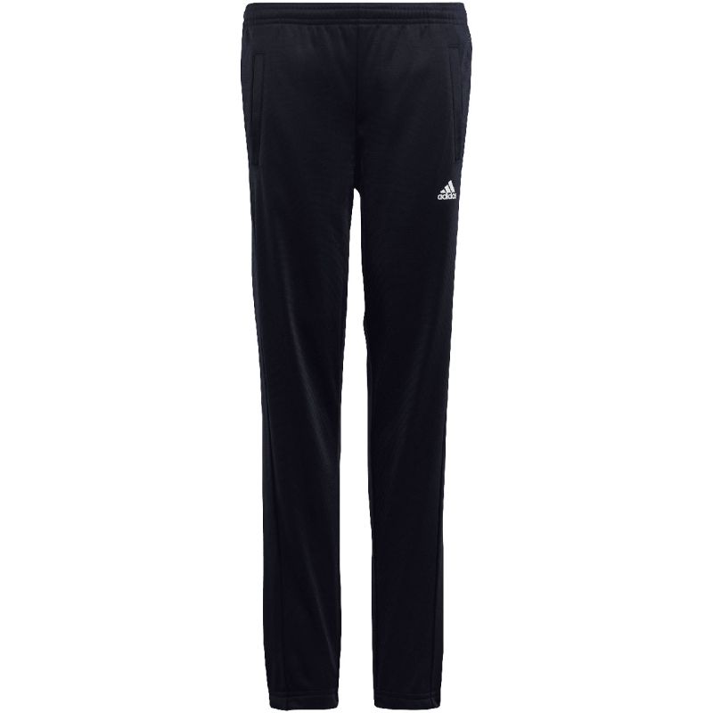 Tepláková súprava adidas Essentials Big Logo Track Suit Jr HR6408