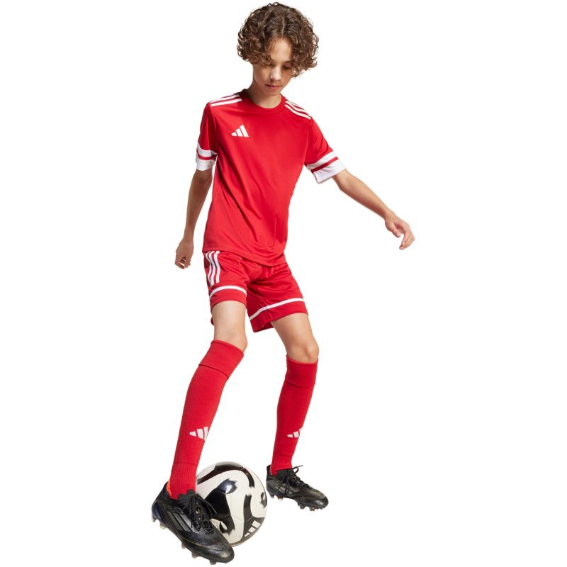Trenky adidas Squadra 25 Jr JN5456