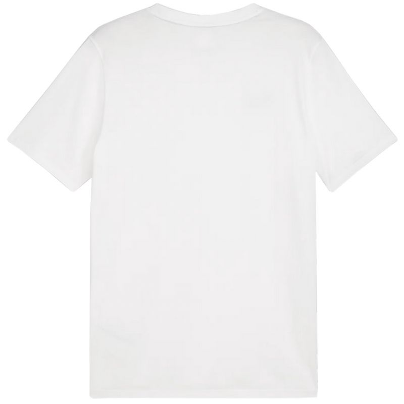 Tričko Puma Team Goal Casuals Tee M 658615 04